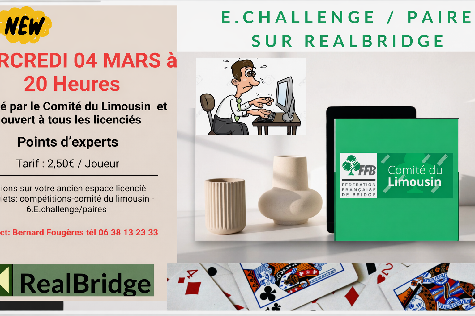 6ème séance du E-Challenge du Comité sur Realbridge