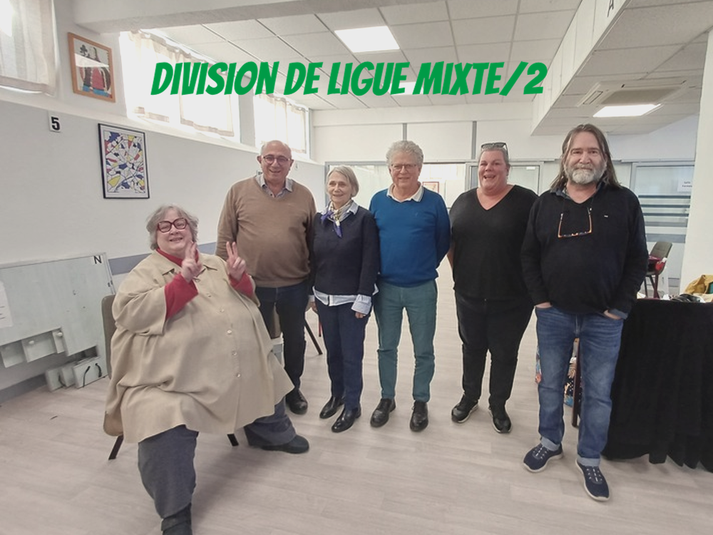 Division de Ligue Mixte X 2