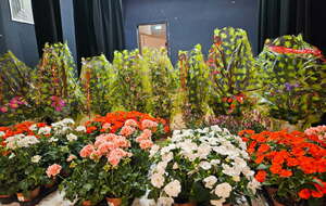 Festival de Tulle &quot;Bernard MARLIAC&quot;