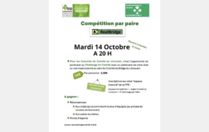 Challenge E-Bridge par paire du Comité 2025/2026