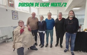 Division de Ligue Mixte X 2