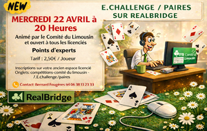 7ème séance E-Challenge/2 sur Realbridge