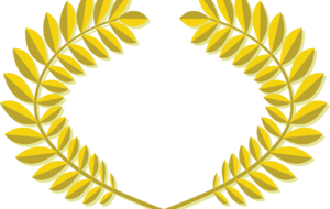 Finale de Comité de la Coupe de France à Brive