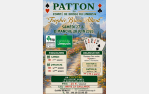 Festival du Comité "Trophée Brieuc Allard" 2026