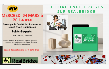 6ème séance du E-Challenge du Comité sur Realbridge