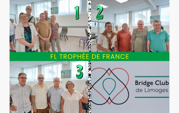 Finale de Ligue Trophée de France à Limoges
