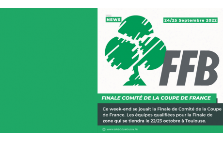 Finale de Comité de la Coupe de France 