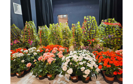 Festival de Tulle &quot;Bernard MARLIAC&quot;